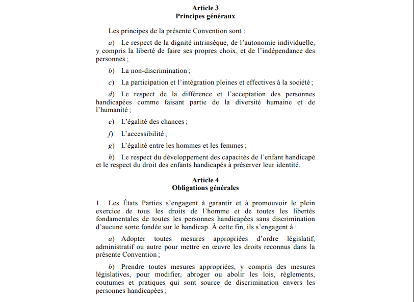 La Convention relative aux droits des personnes en situation de handicap : un cadre international pour l’égalité