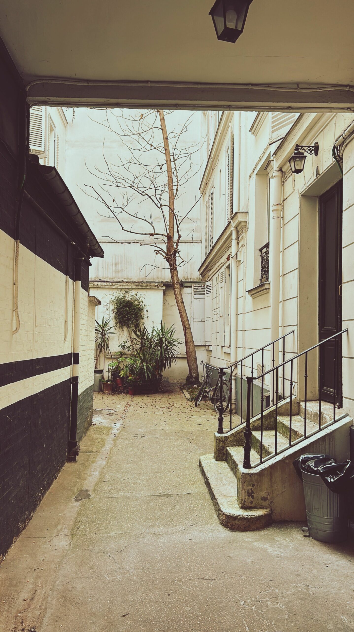 parties-communes-immeuble